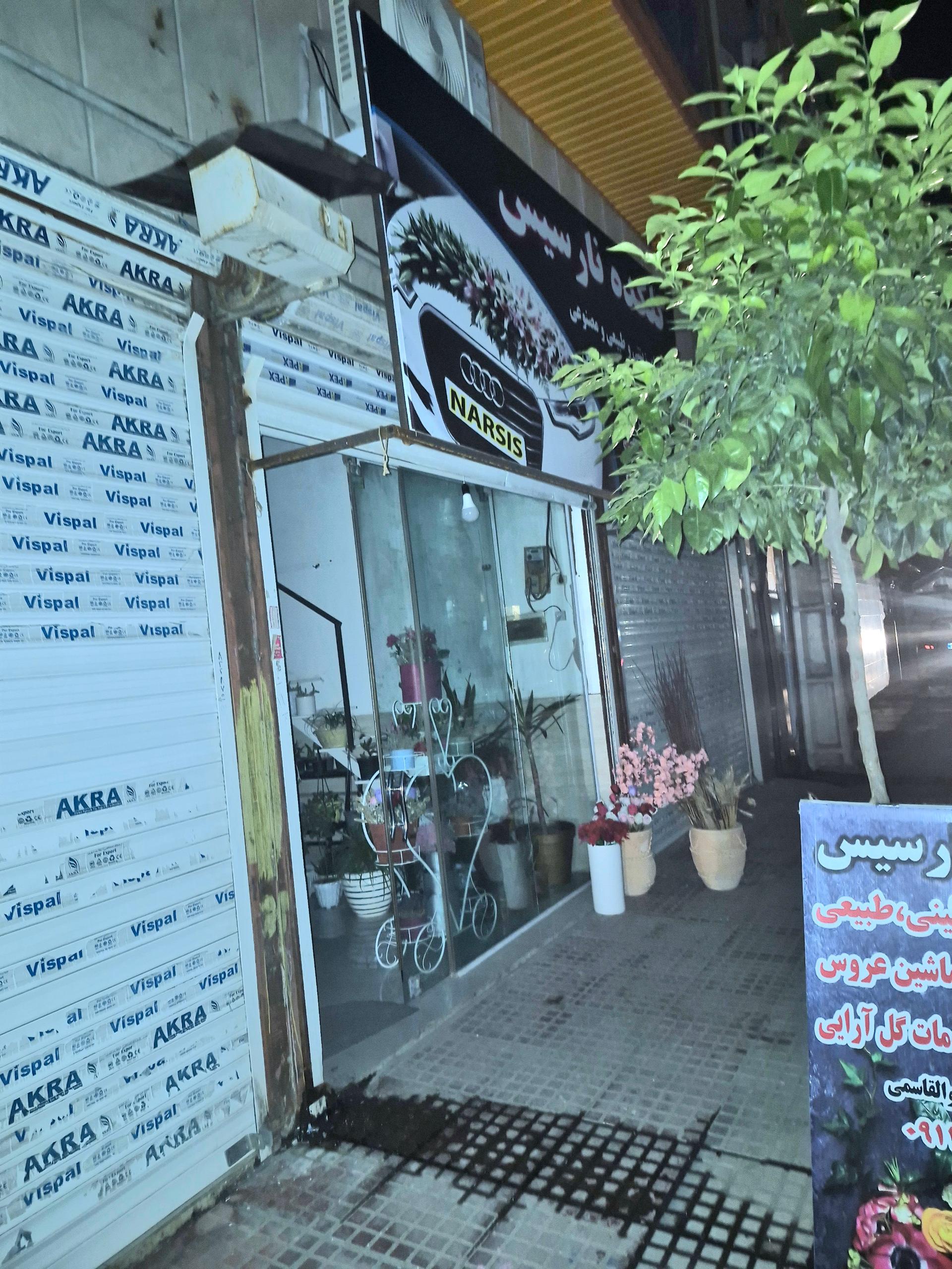 عکس گلکده نارسیس