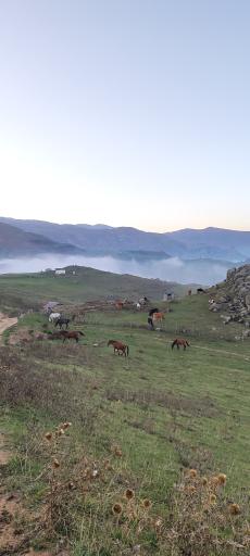 عکس سوباتان