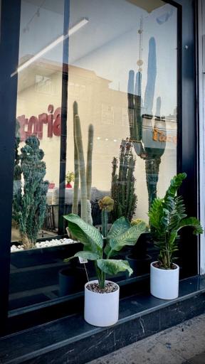 عکس فست فود ویتوریا