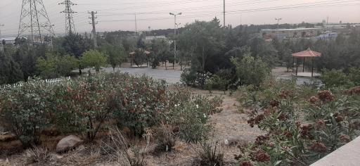 عکس بوستان حضرت خدیجه (س)