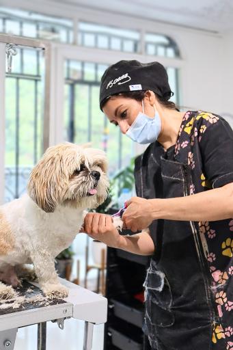 عکس بیمارستان دامپزشکی هلسی پت