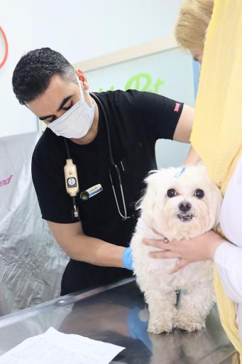 عکس بیمارستان دامپزشکی هلسی پت