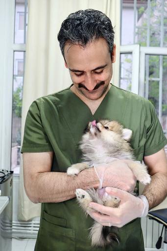 عکس بیمارستان دامپزشکی هلسی پت