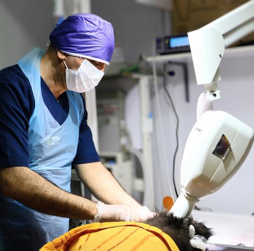 عکس بیمارستان دامپزشکی هلسی پت