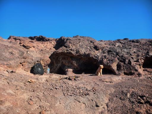 عکس بام پرند