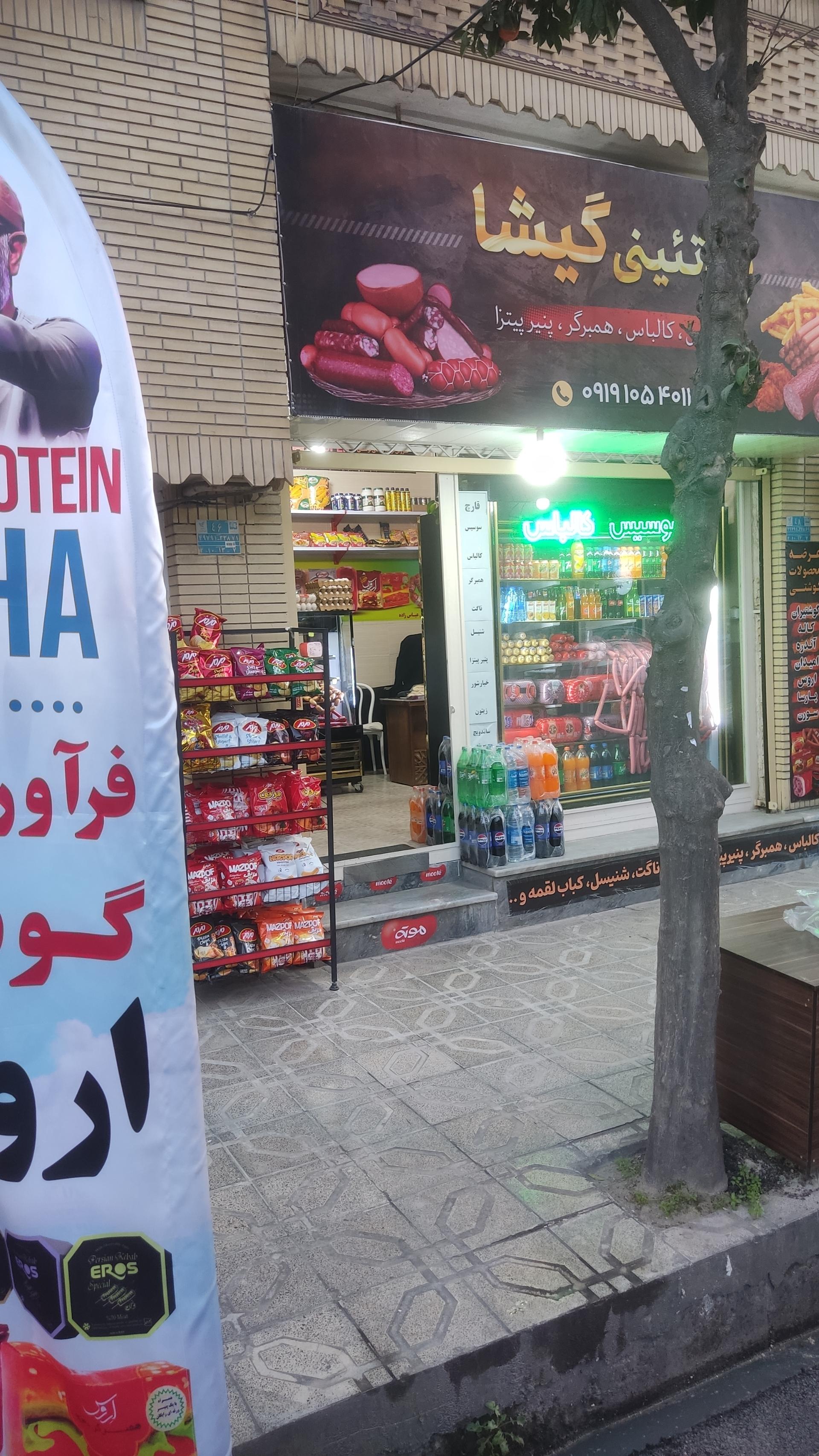 عکس پروتئینی گیشا