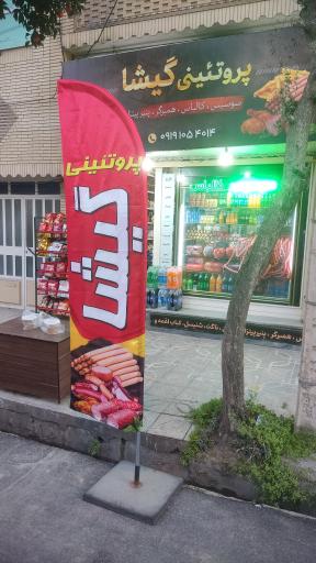 عکس پروتئینی گیشا