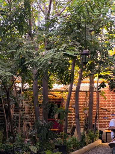 عکس کافه نقطه دیدار