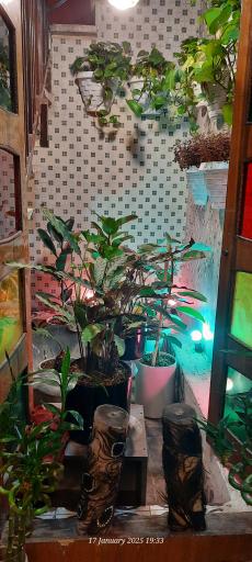 عکس کافه نقطه دیدار