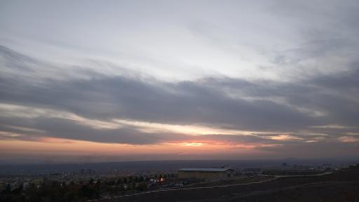 عکس بام پرند