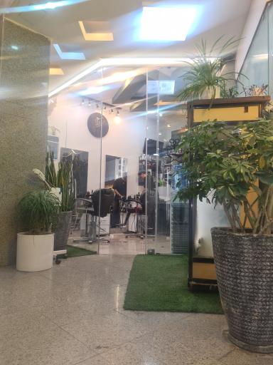 عکس آرایشگاه دی کات