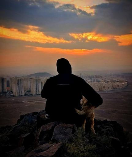 عکس بام پرند