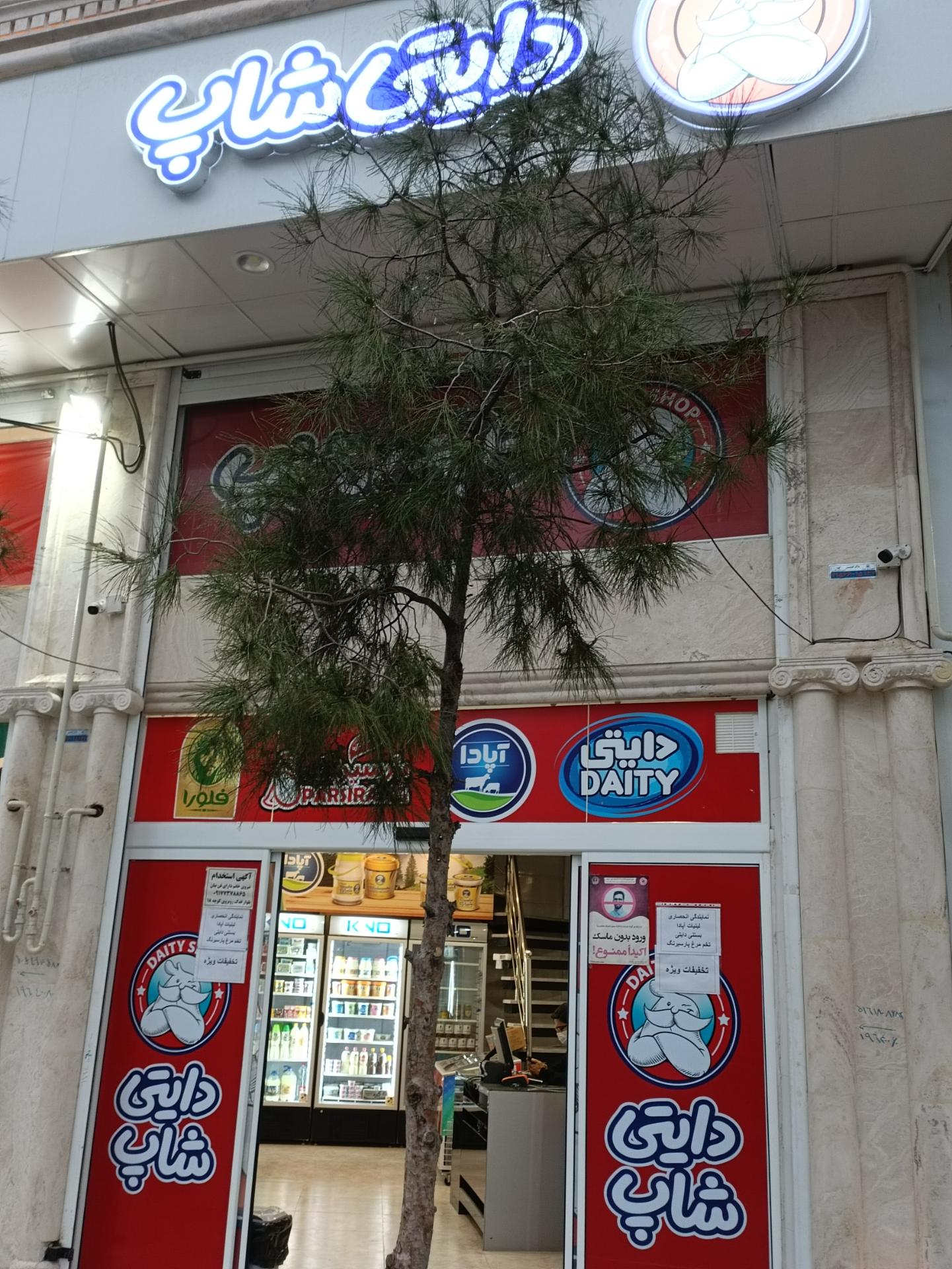 عکس تعویض لنت خودرو