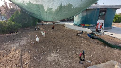 عکس مجتمع فرهنگی و رفاهی شهید تندگویان(باغ پرندگان و پارک)