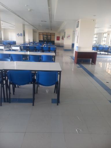 سلف دانشگاه