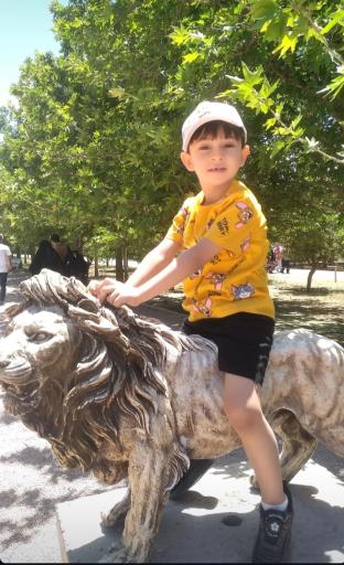 عکس بوستان ملاصدرا