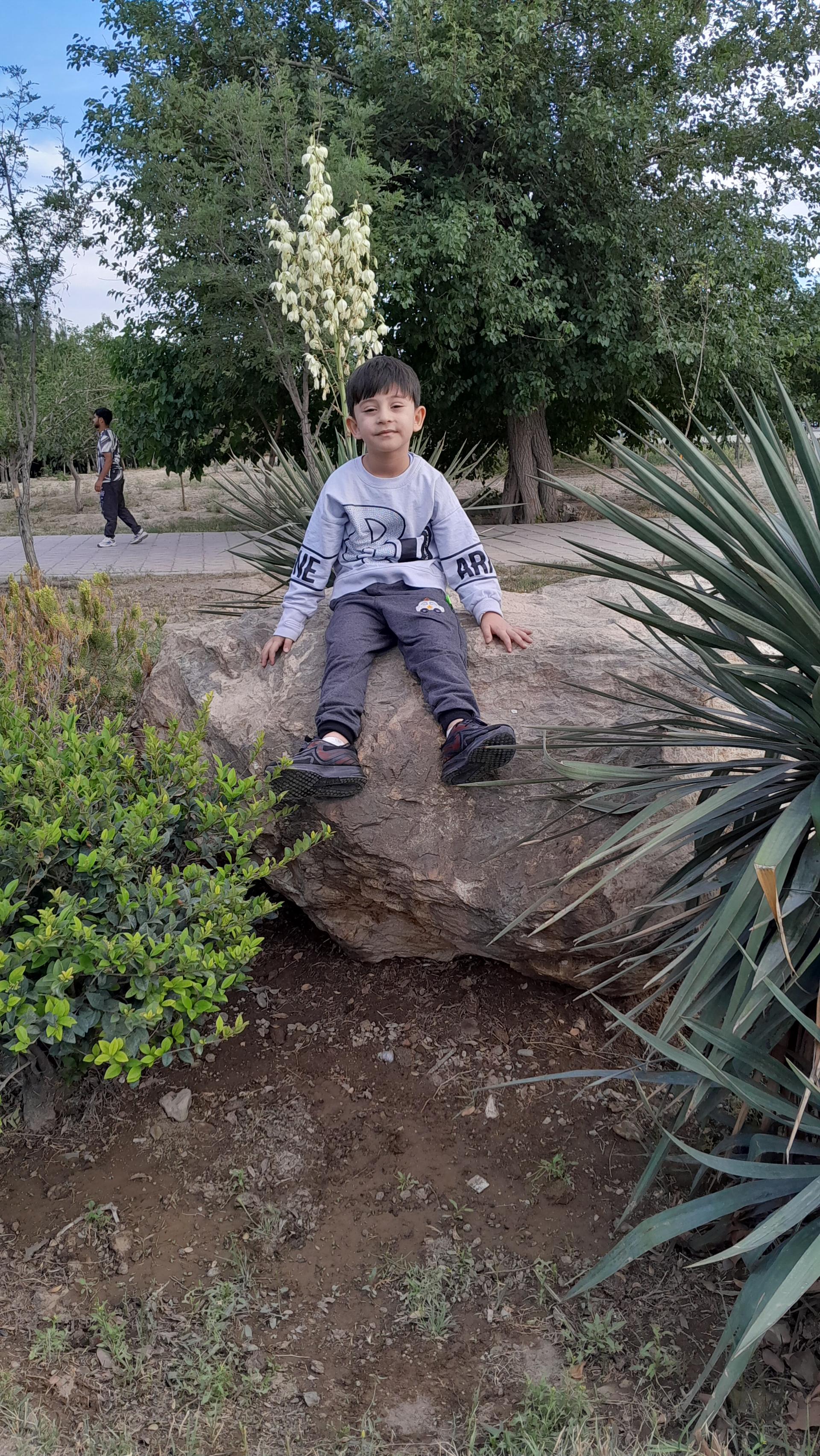 عکس بوستان ملاصدرا