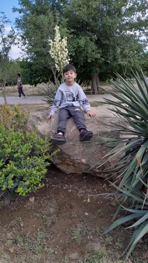 عکس بوستان ملاصدرا