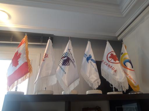 عکس شرکت مهاجرتی سانا تجارت