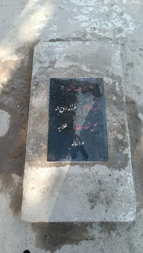 عکس گلزار شهدای گمنام بسطام