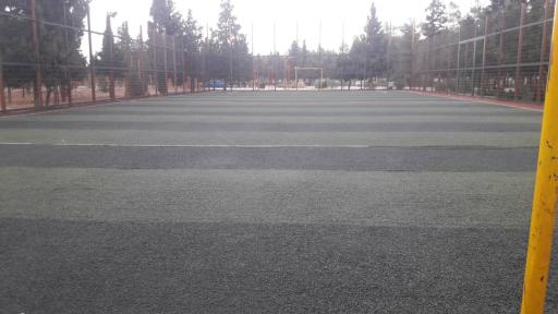 عکس زمین چمن نوید محمدی