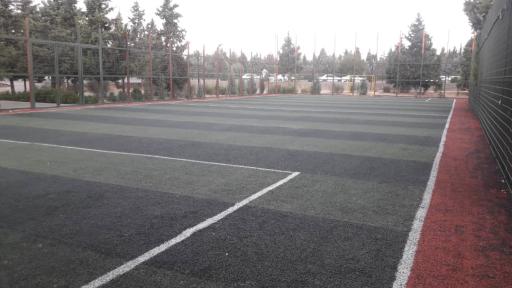 عکس زمین چمن نوید محمدی