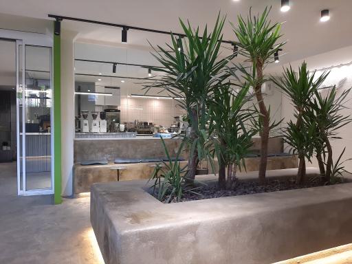 عکس کافه گرسو