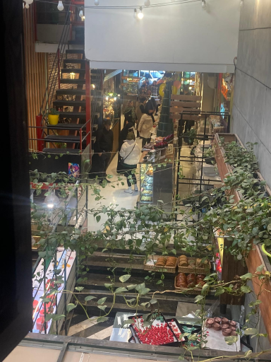 عکس کافه نان و شیرینی گوجه سبز