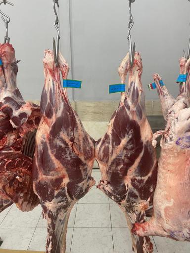 عکس هایپر گوشت رشیدا