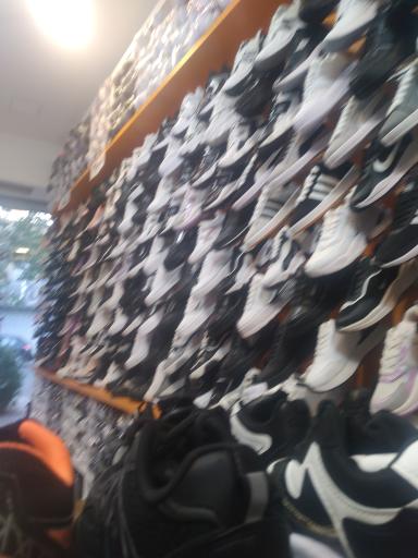 عکس کفش صائمی