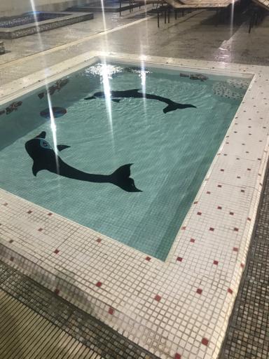 استخر روباز چهارفصل فرشته