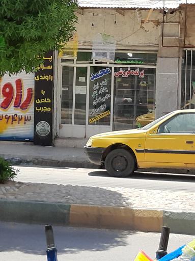 پرنده فروشی محمد