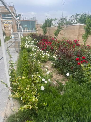 عکس استخر روباز چهارفصل فرشته