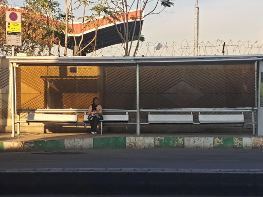 عکس باغ آذری