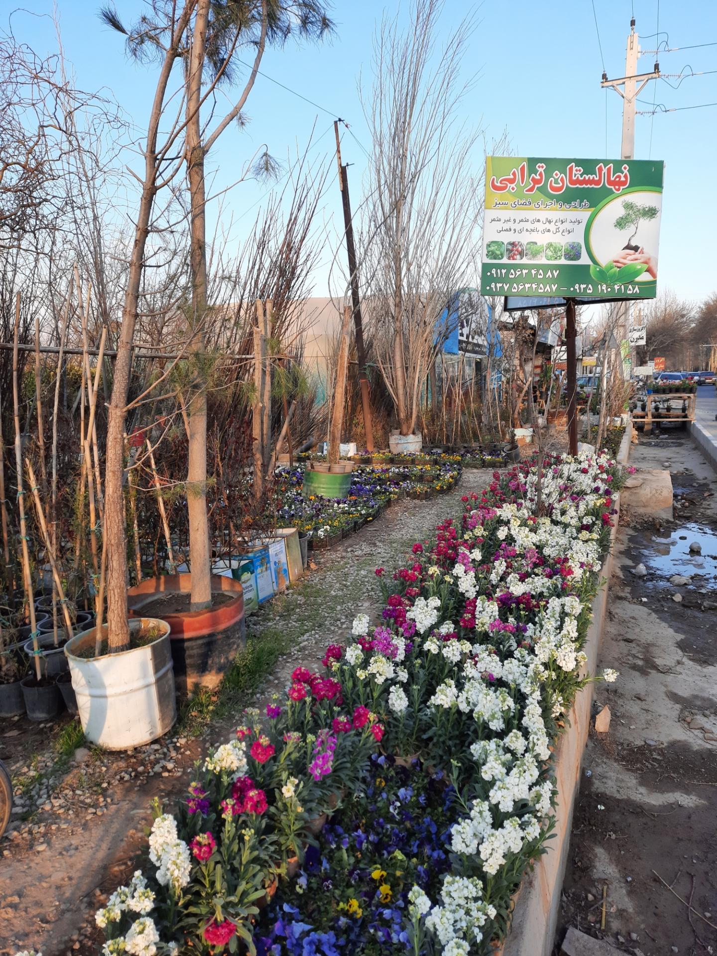 عکس نهالستان ترابی