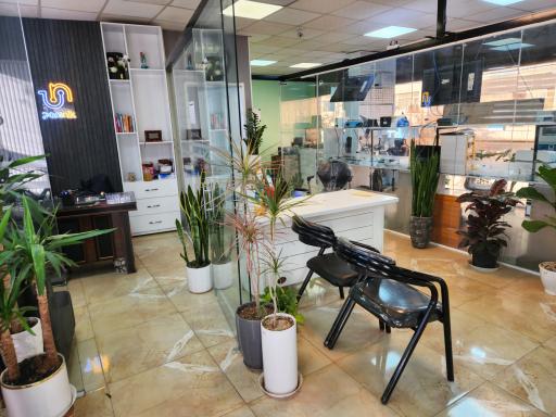 عکس مجموعه تلفن همراه پارس نیک