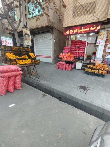 عرضه مستقیم هویج بهروز