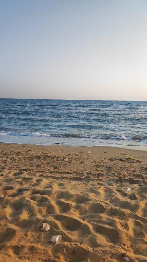 عکس ساحل سلخ