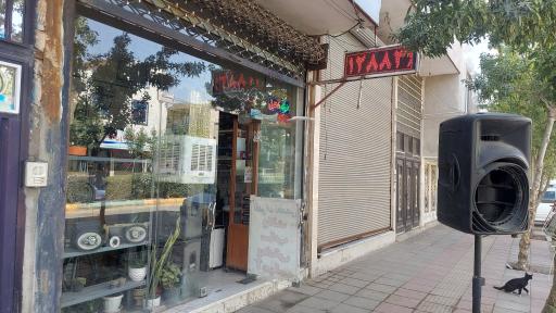 عکس نوین سیستم 