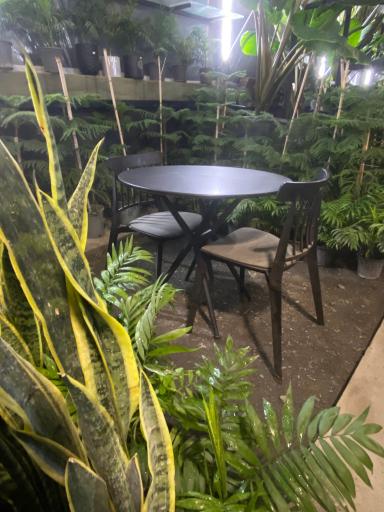 عکس کافه گلخانه وستا