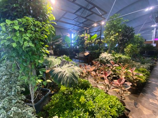 عکس کافه گلخانه وستا