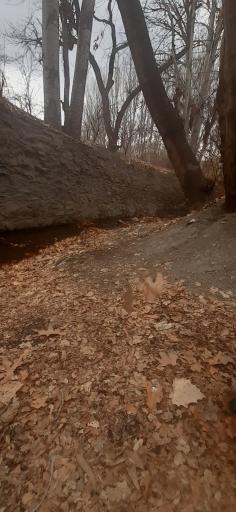 عکس دره محسنیان