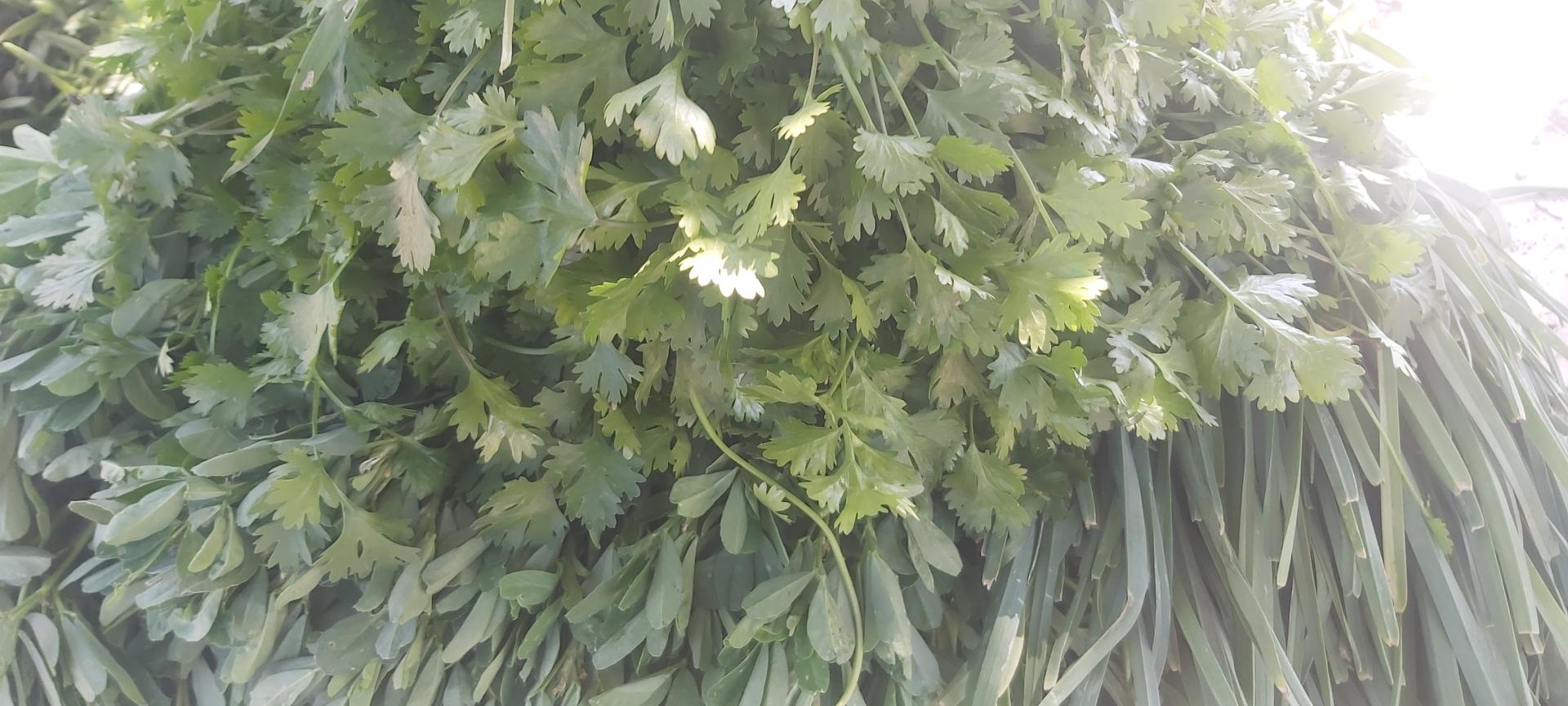 عکس سبزی فروشی باتمانی