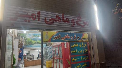 عکس مرغ ماهی امیر