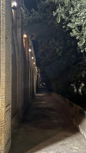 عکس هتل باغ مشیر الممالک یزد