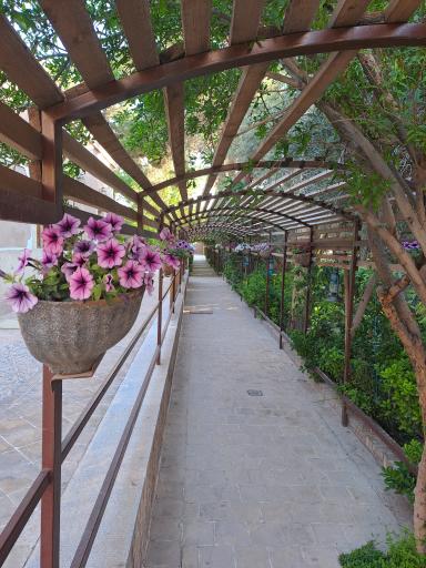 هتل باغ مشیر الممالک یزد