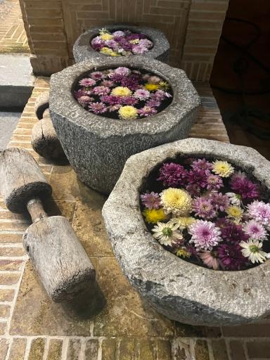 عکس هتل باغ مشیر الممالک یزد