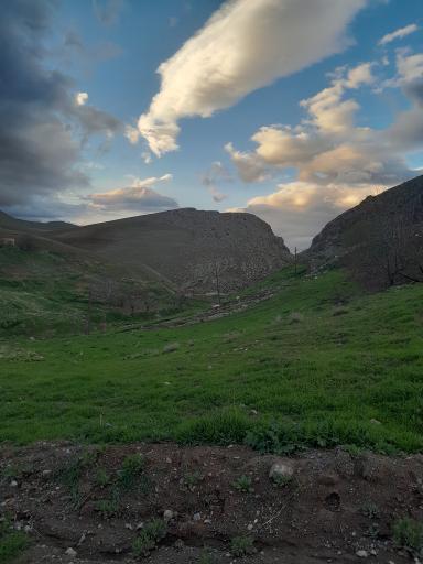 عکس مله سرخه