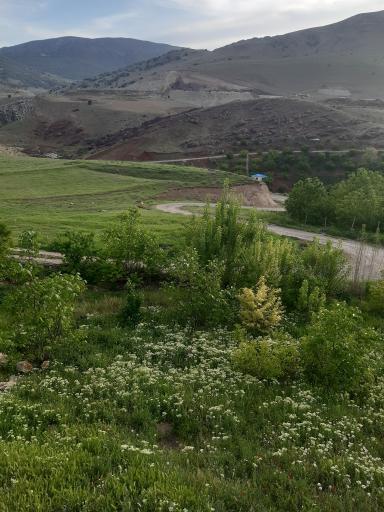 عکس مله سرخه