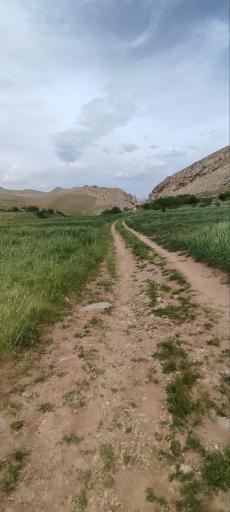 عکس مله سرخه